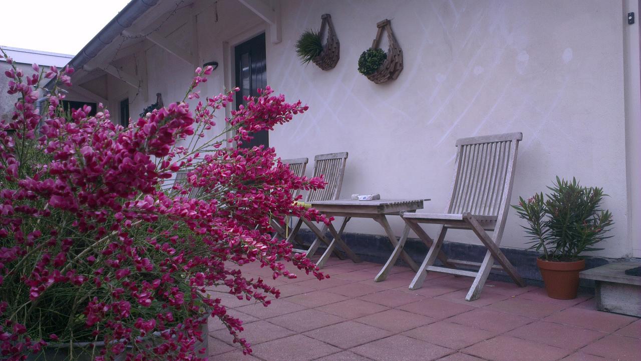 Logement 'De Witte Klok' Oude Bildtzijl エクステリア 写真